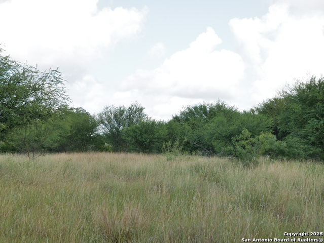 Image 7 of 7 For Tract 4 County Rd 208