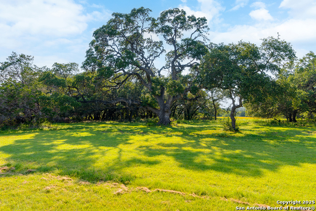 Image 36 of 42 For 31390 Stahl  