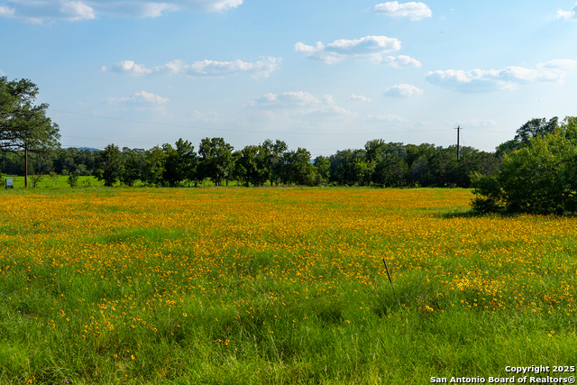 Image 41 of 42 For 31390 Stahl  