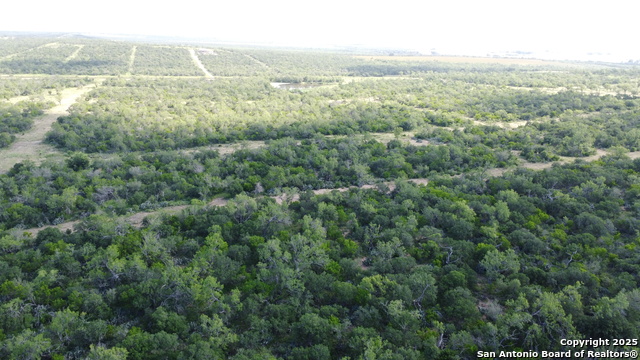 Listing photo id 11 for 5324 County Road 4514