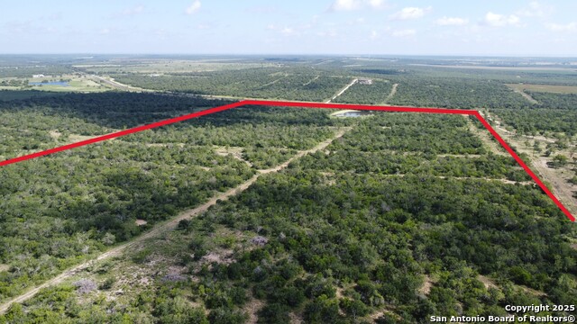 Listing photo id 14 for 5324 County Road 4514