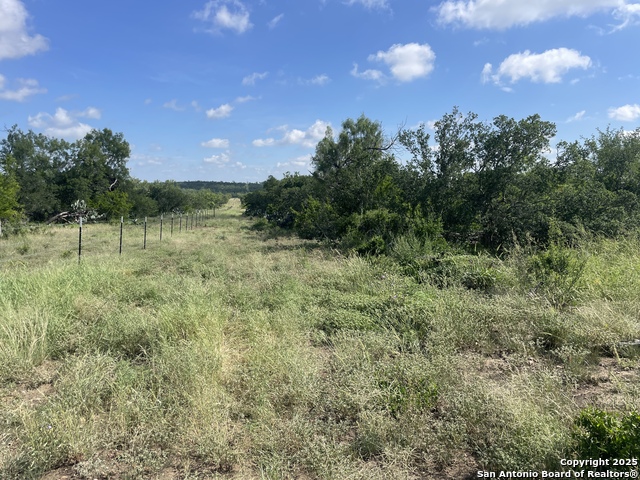 Listing photo id 15 for 5324 County Road 4514