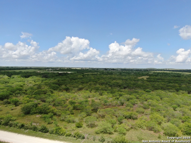 Details for Tract 6 County Rd 208, Hobson, TX 78117