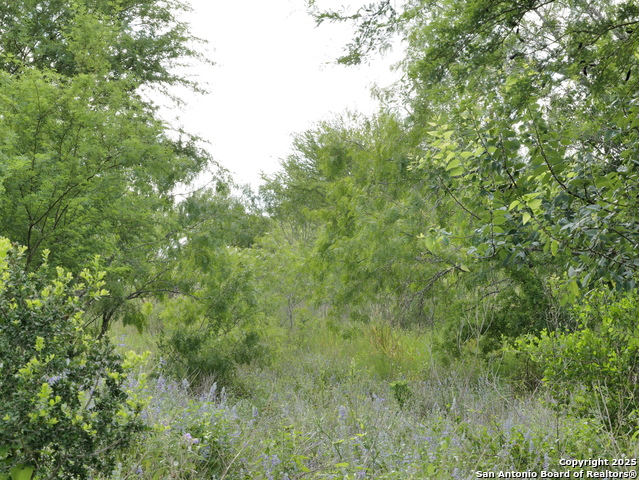 Image 3 of 5 For Tract 6 County Rd 208