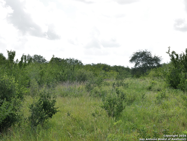 Image 4 of 5 For Tract 6 County Rd 208