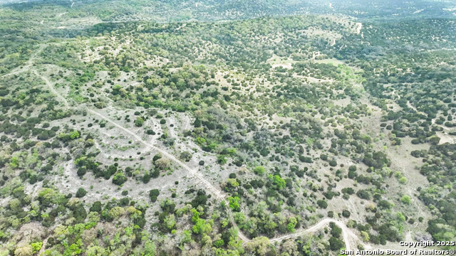 Details for 830 Dunners Mountain Drive, Sisterdale, TX 78006