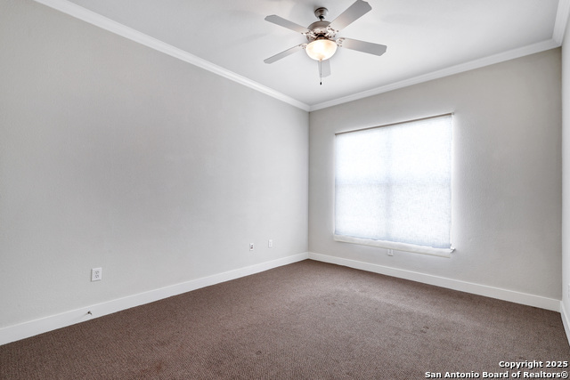 Image 15 of 34 For 7342 Oak Manor Dr  4307