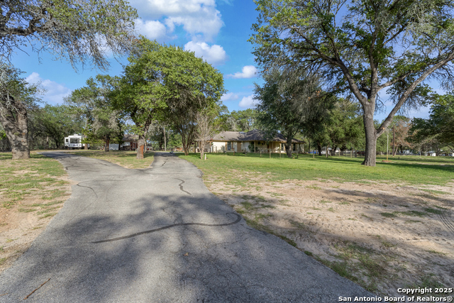 Image 2 of 49 For 1843 Burr Oak