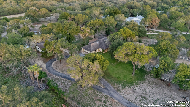 Image 48 of 49 For 1843 Burr Oak