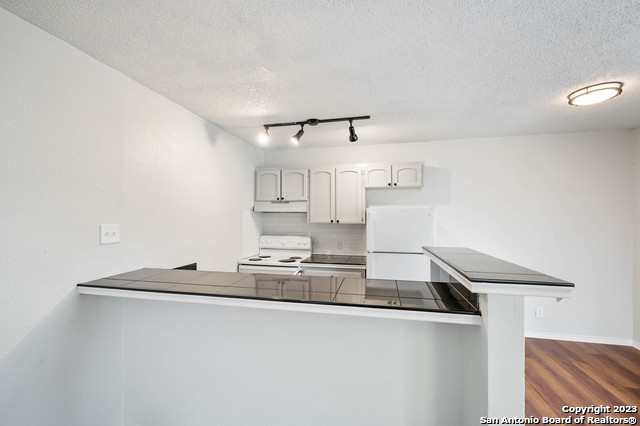 Image 4 of 9 For 131 Elsie Ave  103