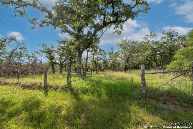 Image 10 of 52 For 305 Shorthorn