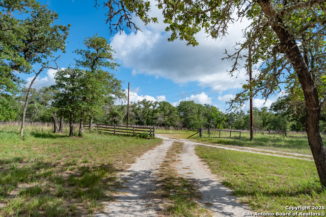 Image 9 of 52 For 305 Shorthorn