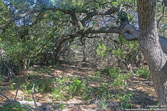 Listing photo id 3 for 1118 Stagecoach Dr