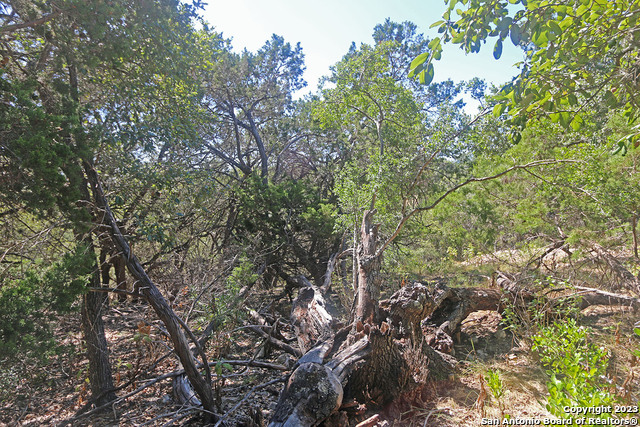 Listing photo id 4 for 1118 Stagecoach Dr