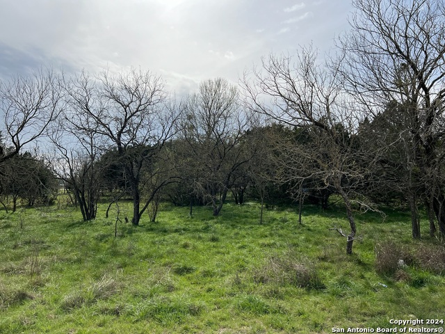 Image 11 of 23 For Lot 78 Lake Medina Shores