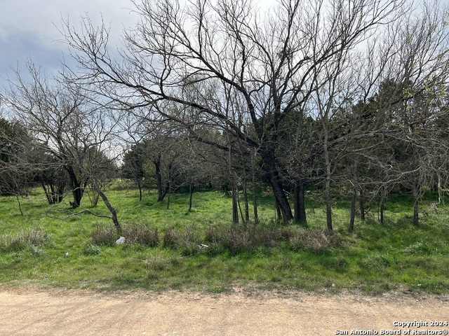 Image 12 of 23 For Lot 78 Lake Medina Shores