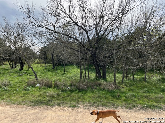 Image 13 of 23 For Lot 78 Lake Medina Shores