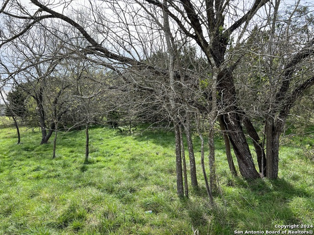 Image 15 of 23 For Lot 78 Lake Medina Shores