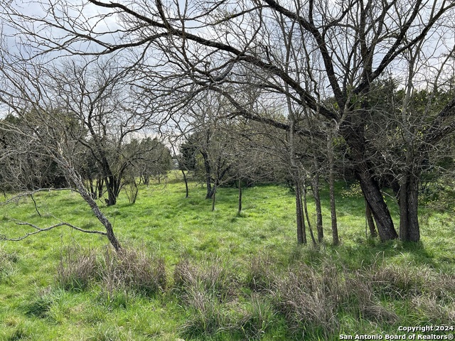 Image 16 of 23 For Lot 78 Lake Medina Shores