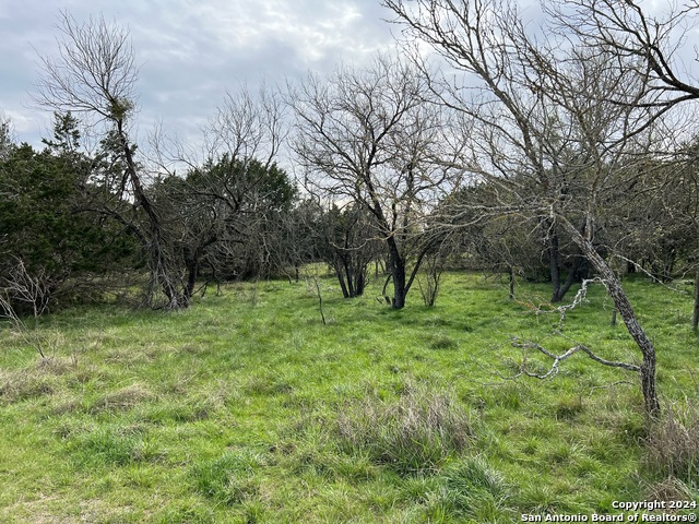 Image 18 of 23 For Lot 78 Lake Medina Shores