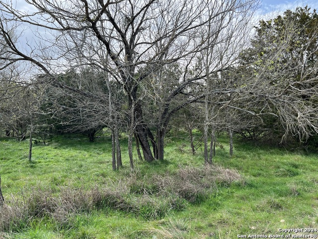 Image 19 of 23 For Lot 78 Lake Medina Shores