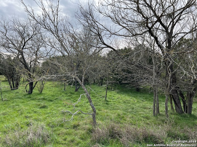 Image 20 of 23 For Lot 78 Lake Medina Shores