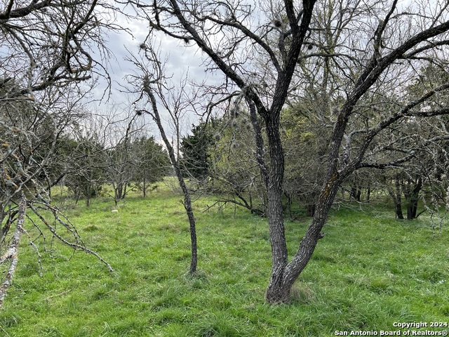 Image 21 of 23 For Lot 78 Lake Medina Shores