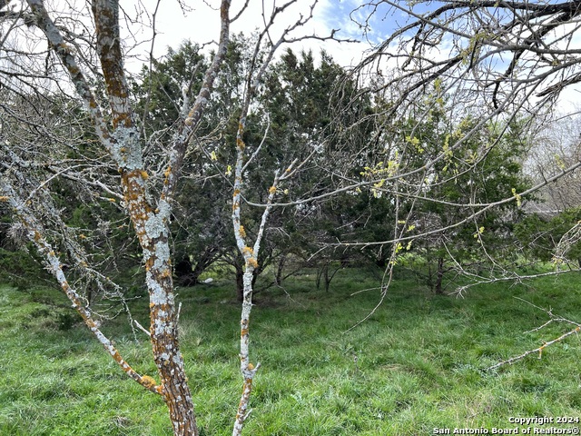 Image 22 of 23 For Lot 78 Lake Medina Shores