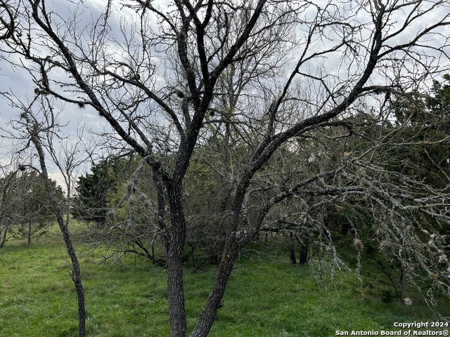 Image 23 of 23 For Lot 78 Lake Medina Shores