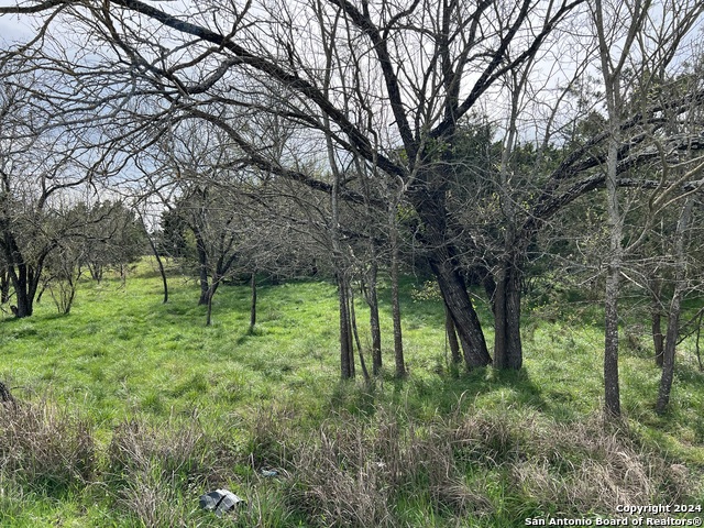 Image 4 of 23 For Lot 78 Lake Medina Shores