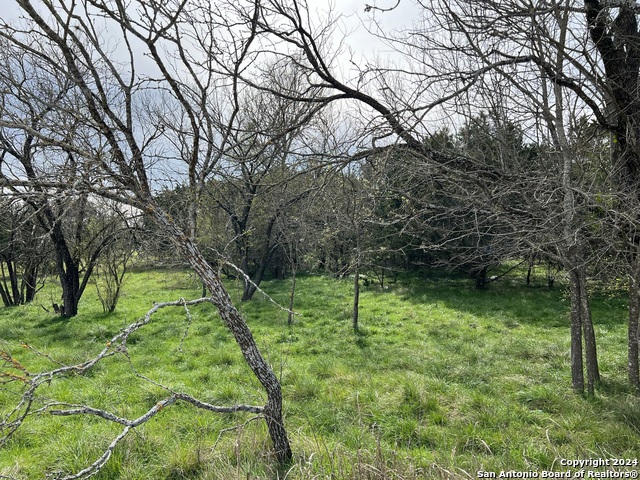 Image 5 of 23 For Lot 78 Lake Medina Shores