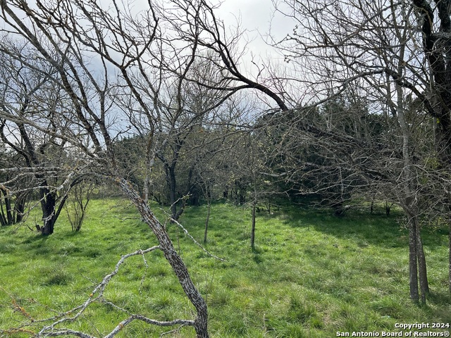 Image 6 of 23 For Lot 78 Lake Medina Shores