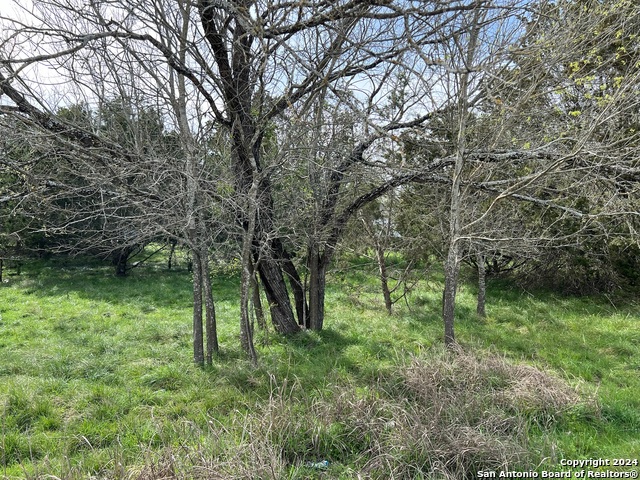 Image 7 of 23 For Lot 78 Lake Medina Shores