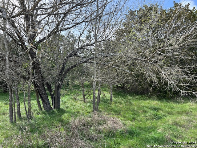 Image 9 of 23 For Lot 78 Lake Medina Shores