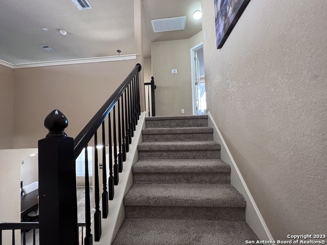 Image 17 of 36 For 2537 Hourless Oaks Ln