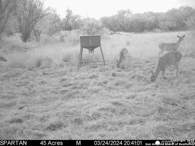 Image 25 of 30 For 3305 Cr 129  