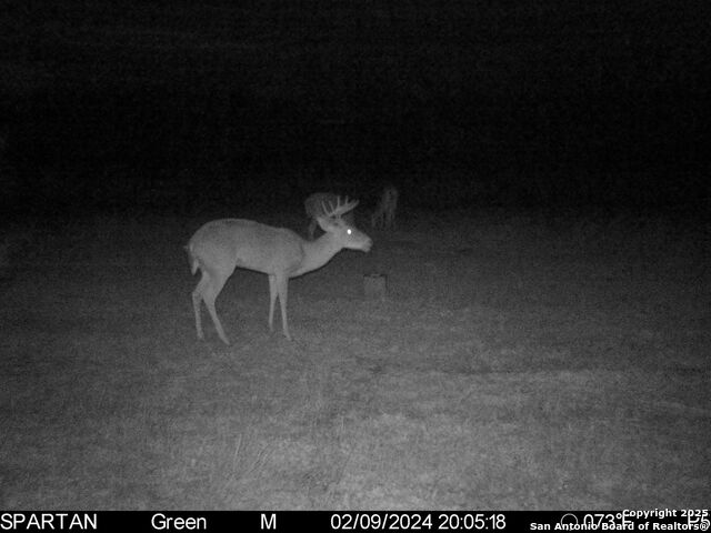 Image 26 of 30 For 3305 Cr 129  
