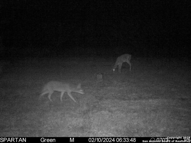 Image 27 of 30 For 3305 Cr 129  