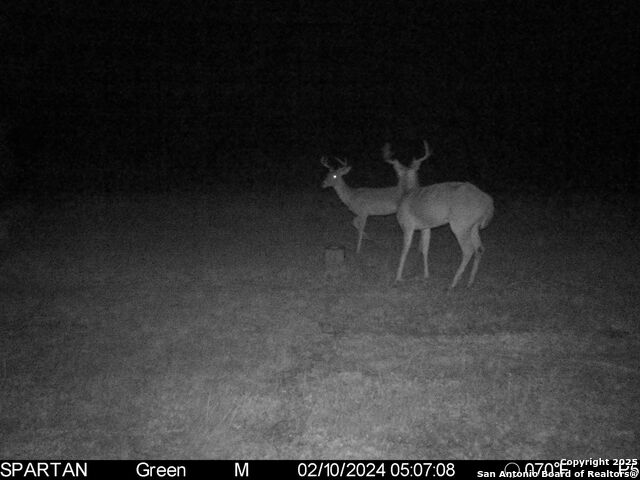 Image 5 of 30 For 3305 Cr 129  