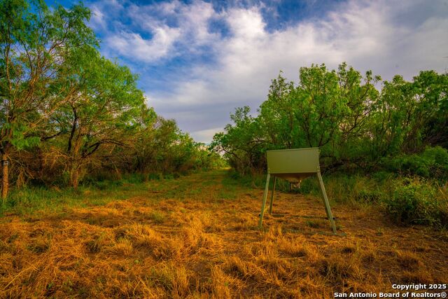 Image 9 of 30 For 3305 Cr 129  