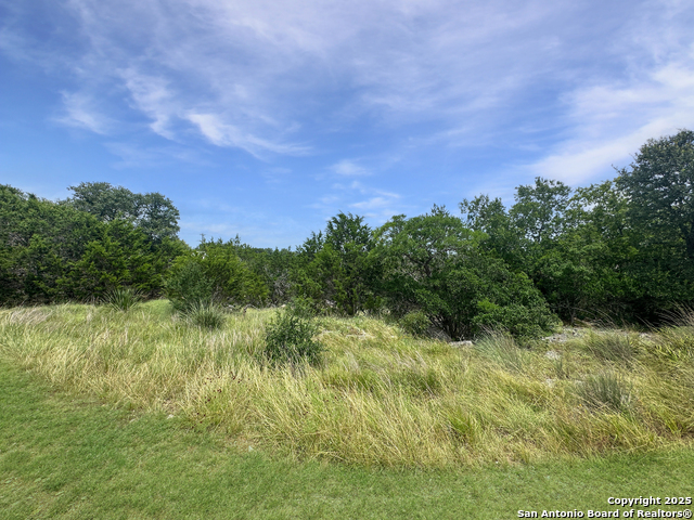 Listing photo id 8 for Lot 30 Tbd Waterstone Pkwy