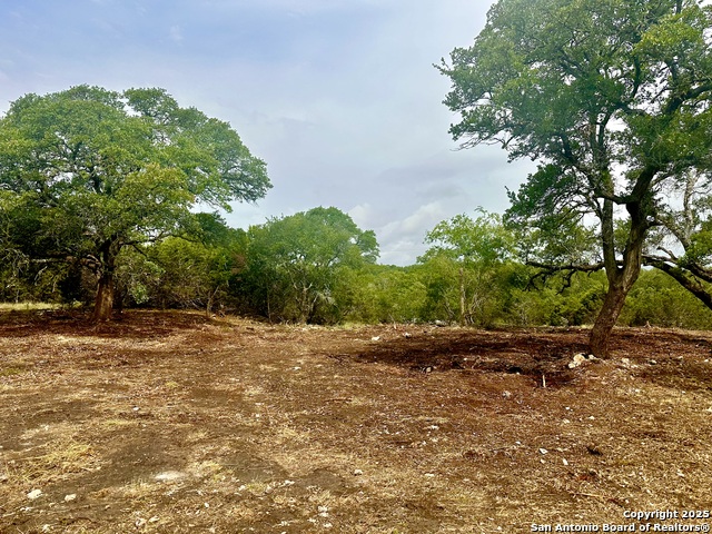 Listing photo id 1 for Lot 30 Tbd Waterstone Pkwy