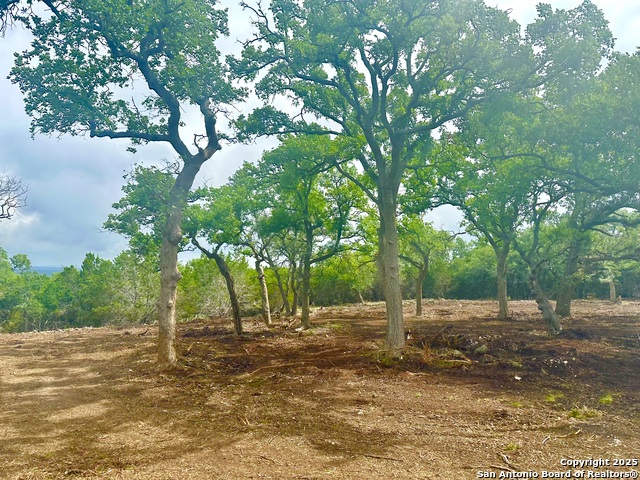 Listing photo id 2 for Lot 30 Tbd Waterstone Pkwy