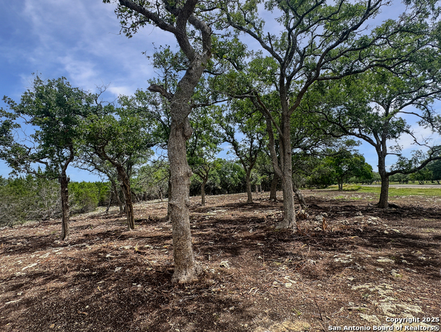 Listing photo id 3 for Lot 30 Tbd Waterstone Pkwy