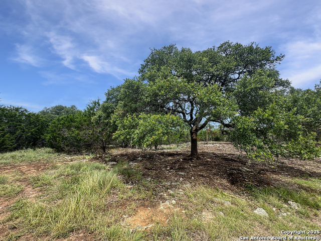 Listing photo id 4 for Lot 30 Tbd Waterstone Pkwy
