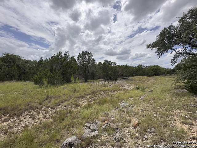 Image 11 of 16 For 31422 Stephanie Way