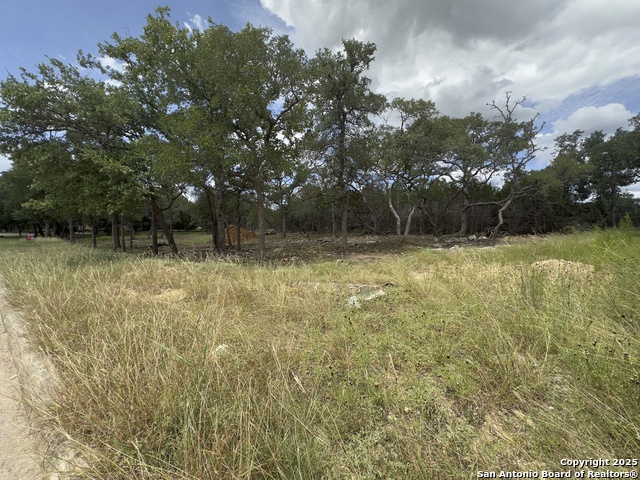 Image 14 of 16 For 31422 Stephanie Way