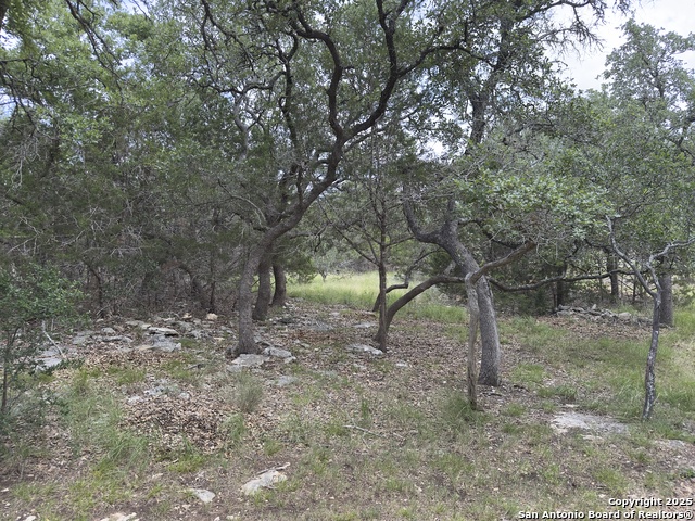 Image 15 of 16 For 31422 Stephanie Way