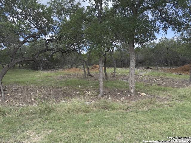 Image 2 of 16 For 31422 Stephanie Way