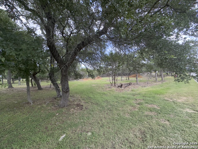 Image 3 of 16 For 31422 Stephanie Way
